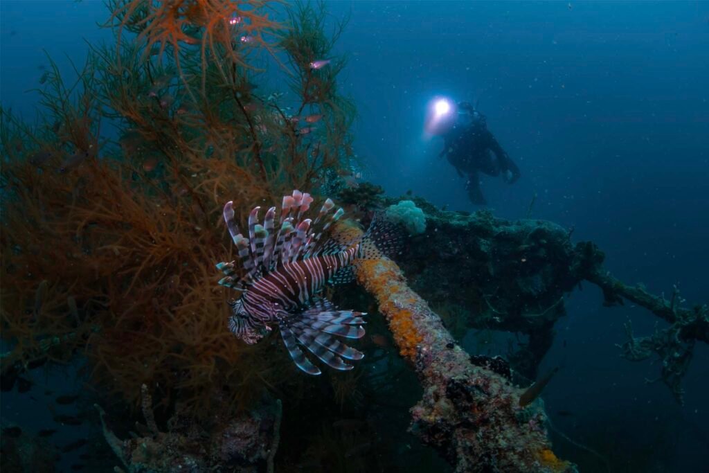 Advanced Open Water Diver Course in Boracay - diving shipwrecks